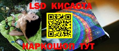 ГАЛЛЮЦИНОГЕННЫЕ ГРИБЫ Донской