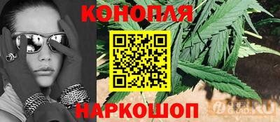 гашик Донецк